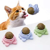 Catnip Balls That Stick On Wall Catnip Balls For Cat Catnip Toys For Cats Healthy Kitty Teeth Cleaning Dental Chew Toys Cat Wall Treats 1