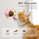Catnip Balls That Stick On Wall Catnip Balls For Cat Catnip Toys For Cats Healthy Kitty Teeth Cleaning Dental Chew Toys Cat Wall Treats 3