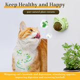 Catnip Balls That Stick On Wall Catnip Balls For Cat Catnip Toys For Cats Healthy Kitty Teeth Cleaning Dental Chew Toys Cat Wall Treats 5