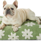 Dog Beds Large Sized Dog Thick Shredded Chopped Foam Pet Bed Dog Bed Indoor With Removable Cover Cute Modern Fuzzy Plush  Anti Slip Bottom 3