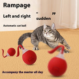 Interactive Cat Toy Ball Super Drive Cat Rolling Ball 4