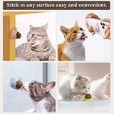 Catnip Balls That Stick On Wall Catnip Balls For Cat Catnip Toys For Cats Healthy Kitty Teeth Cleaning Dental Chew Toys Cat Wall Treats 2