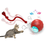 Interactive Cat Toy Ball Super Drive Cat Rolling Ball 1